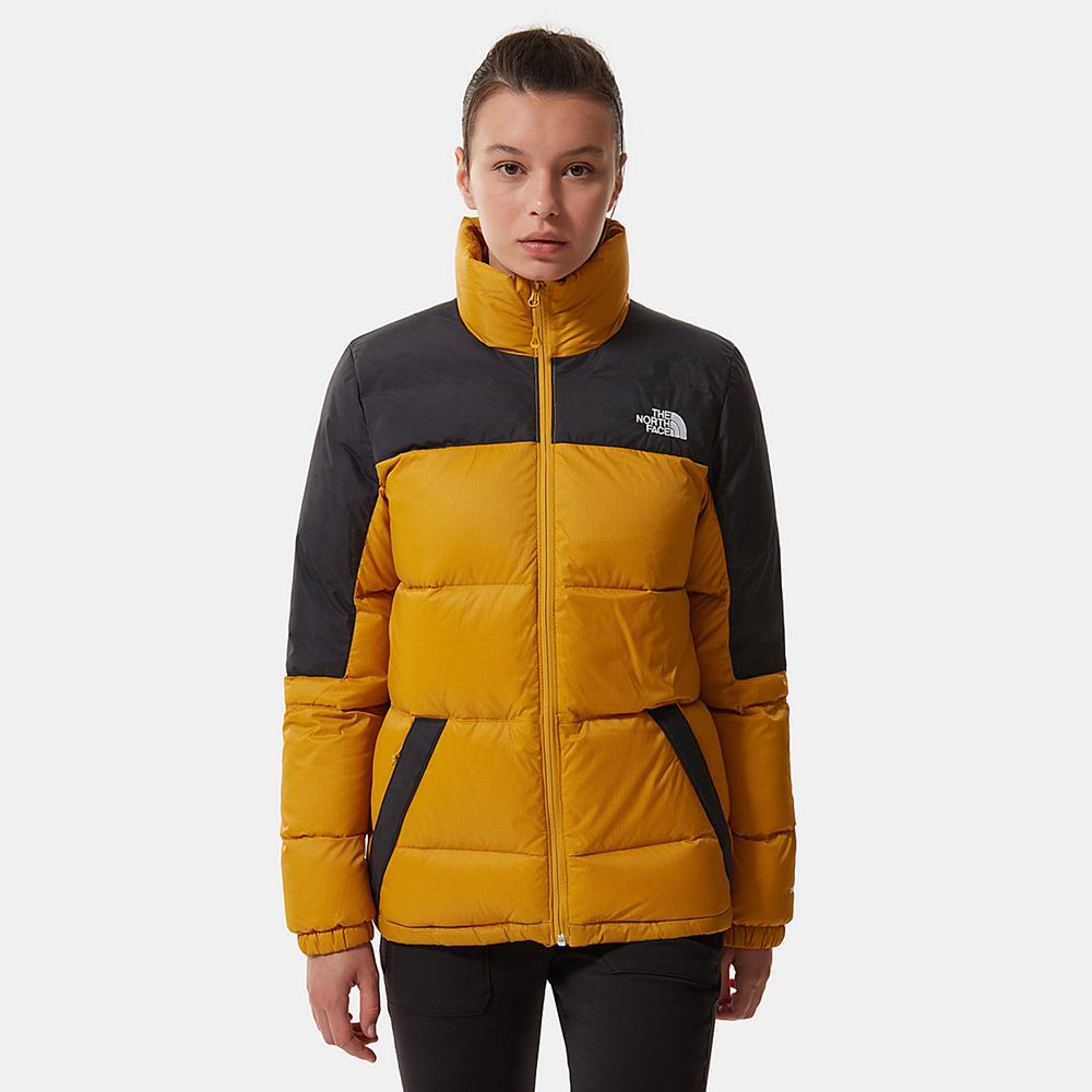 The North Face Winter Jacket Womens Australia - The North Face Diablo Yellow / Black Hiking (ZRV-348